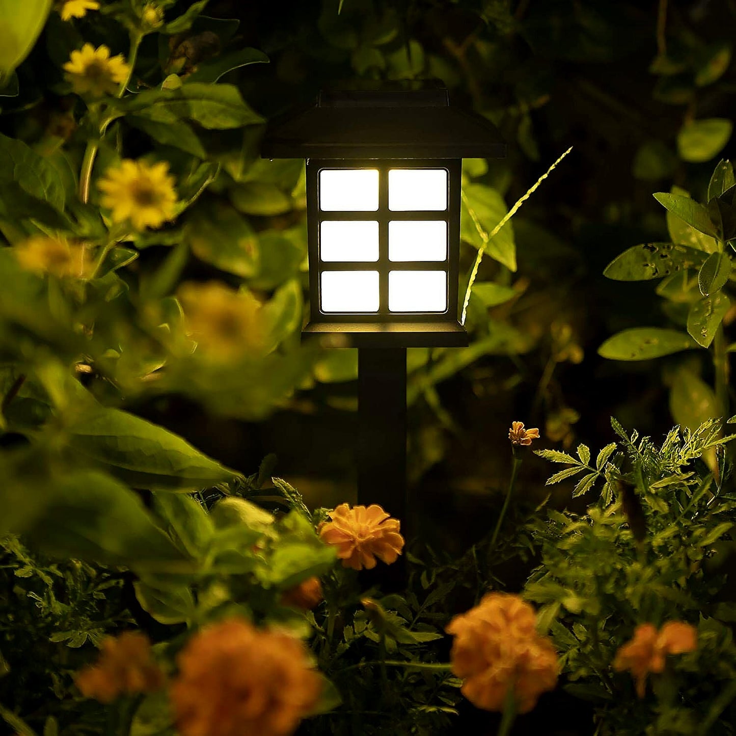 A single black solar garden light glows brightly amidst dark green foliage and soft orange flowers at night.