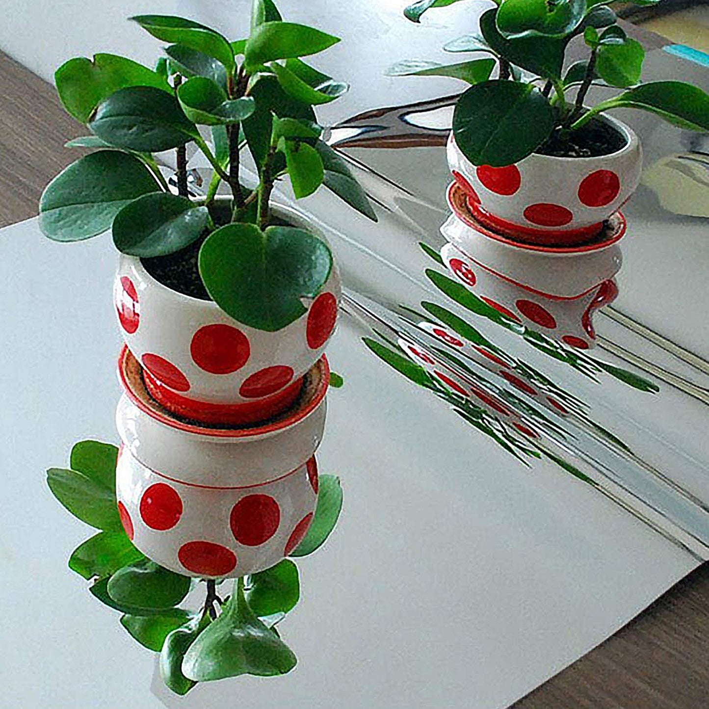 Decorative mirror paper stickers for DIY home wall transformation.