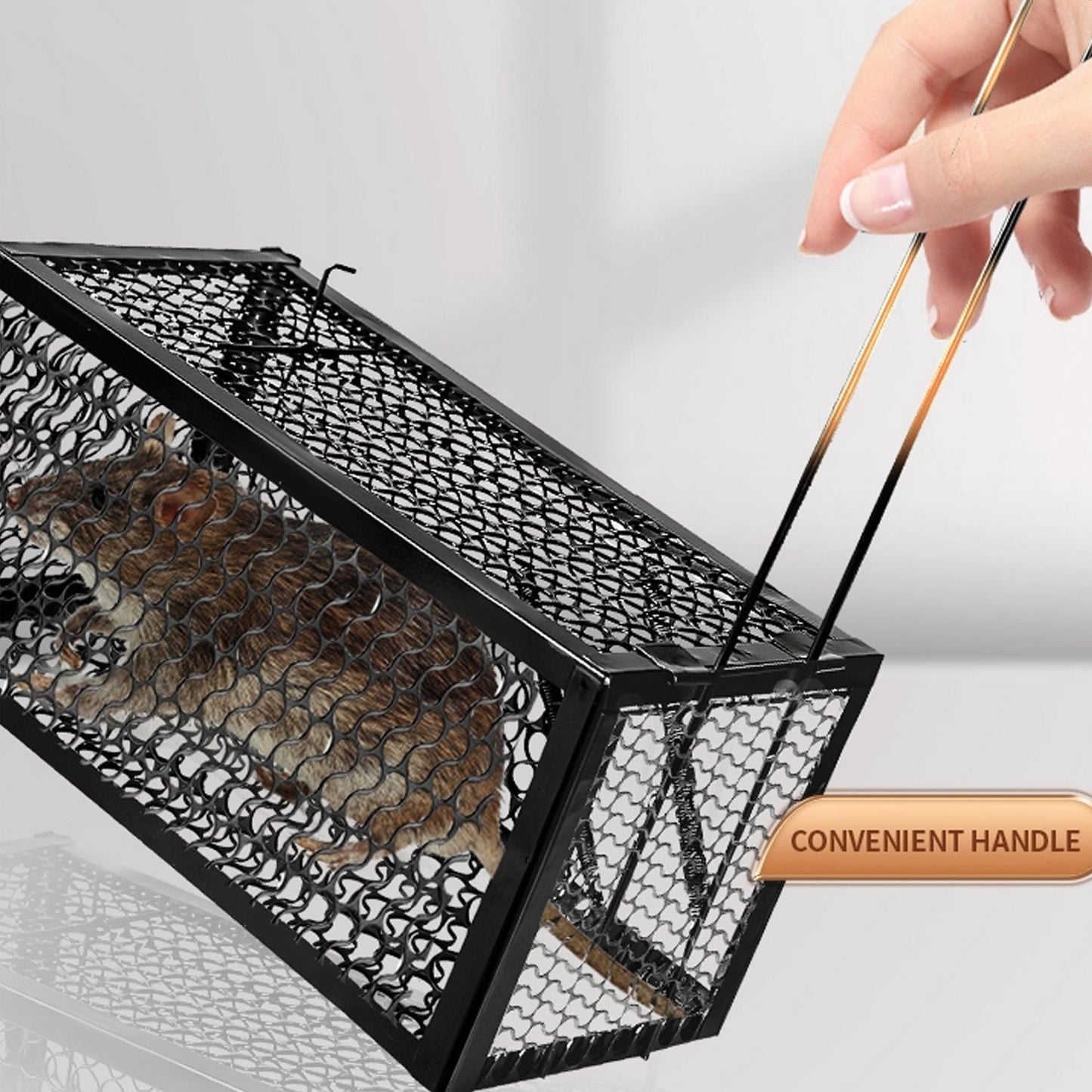 A trapped mouse visible inside the live catch cage, demonstrating humane capture.