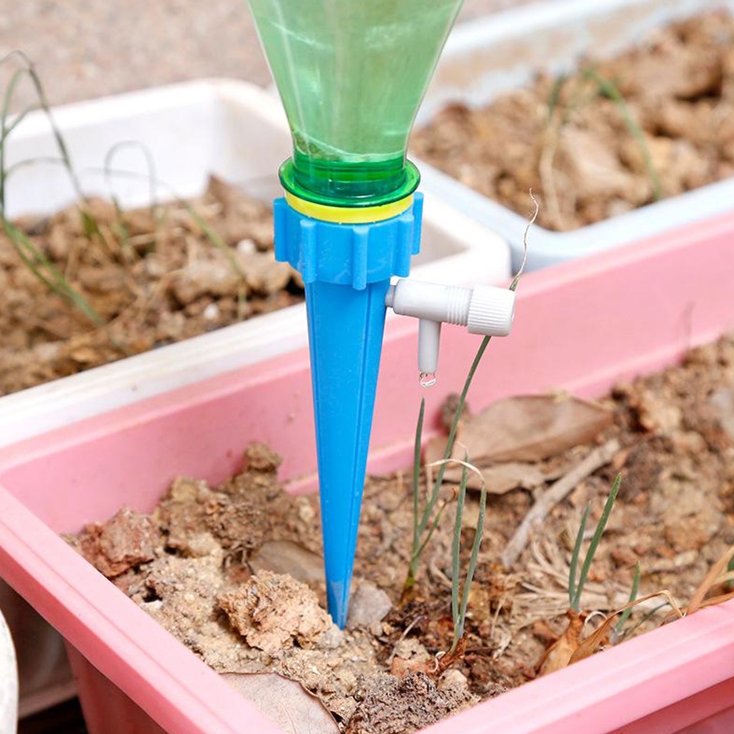 A Tidy Roots self-watering plant spike delivers water directly to plant roots in a pot.