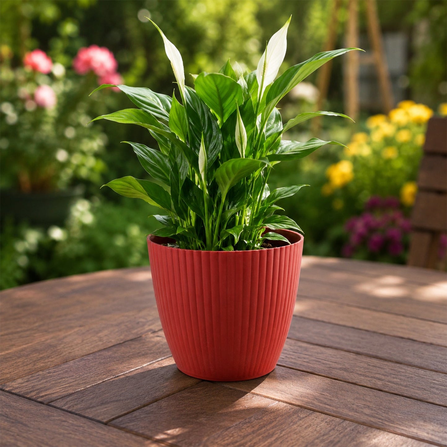 Plastic Flower Pots – Durable Round Planters for Home & Garden | Plant Edge