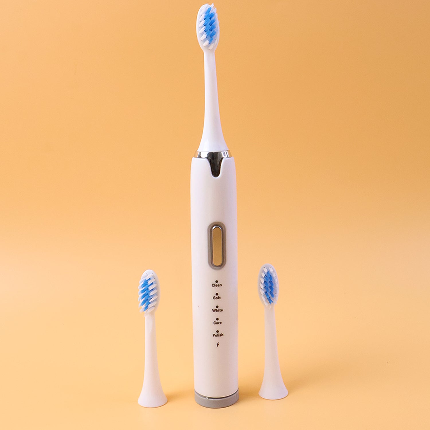 Electric toothbrush set showing toothbrush with brush heads