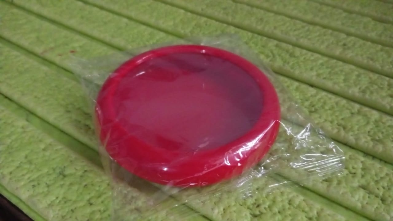 Hand holding the Organivo Fruit & Vegetable Container, illustrating its ergonomic size for daily use.
